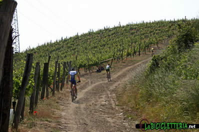 22/05/11 Bistagno (AL) - 1° GF MTB dei Bricchi Bistagnesi - 2011